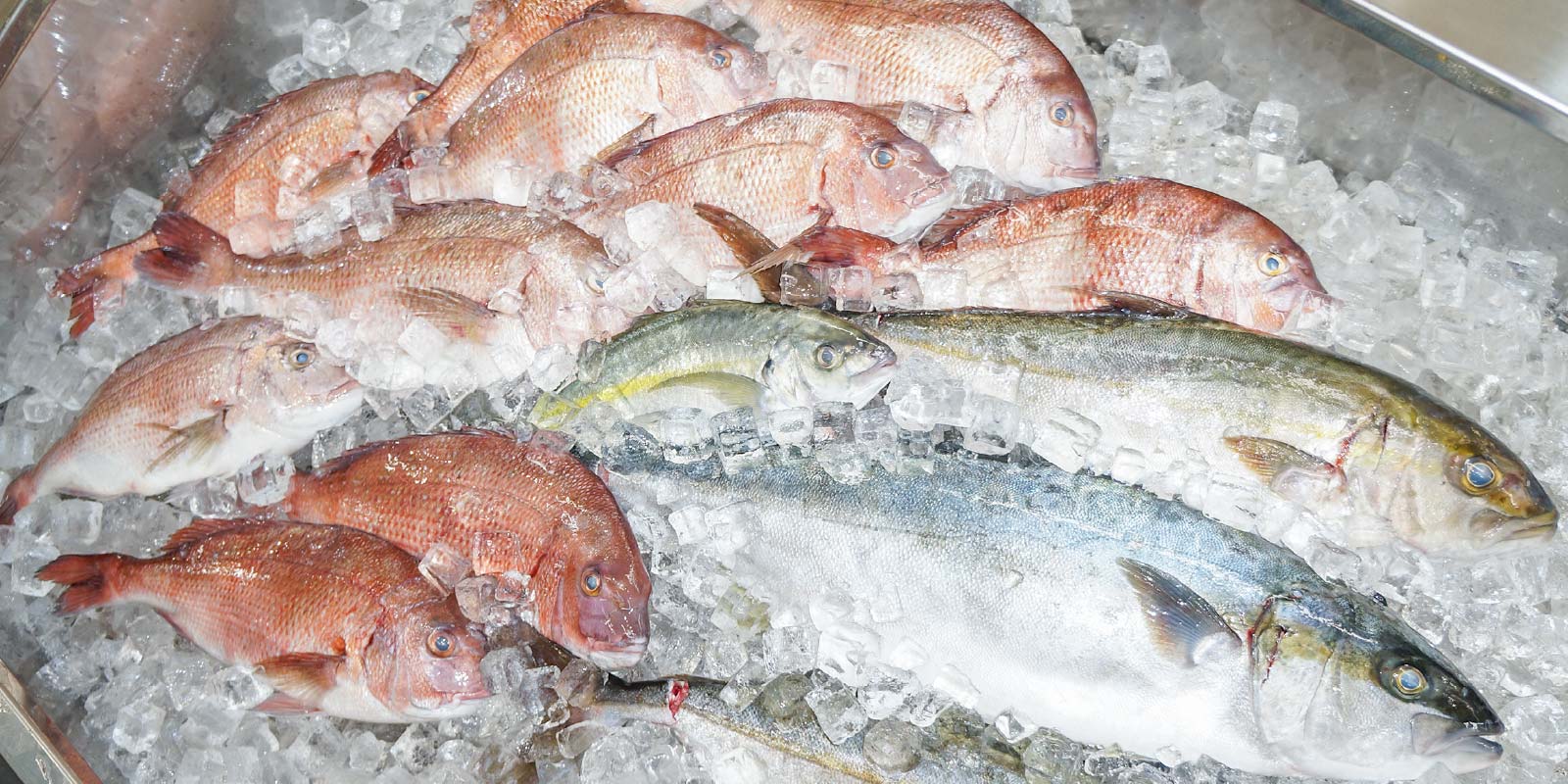 鮮魚