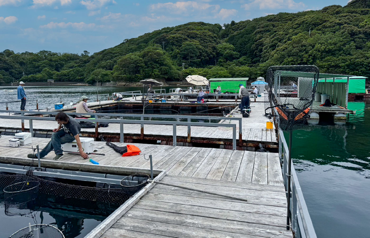 海上釣り堀