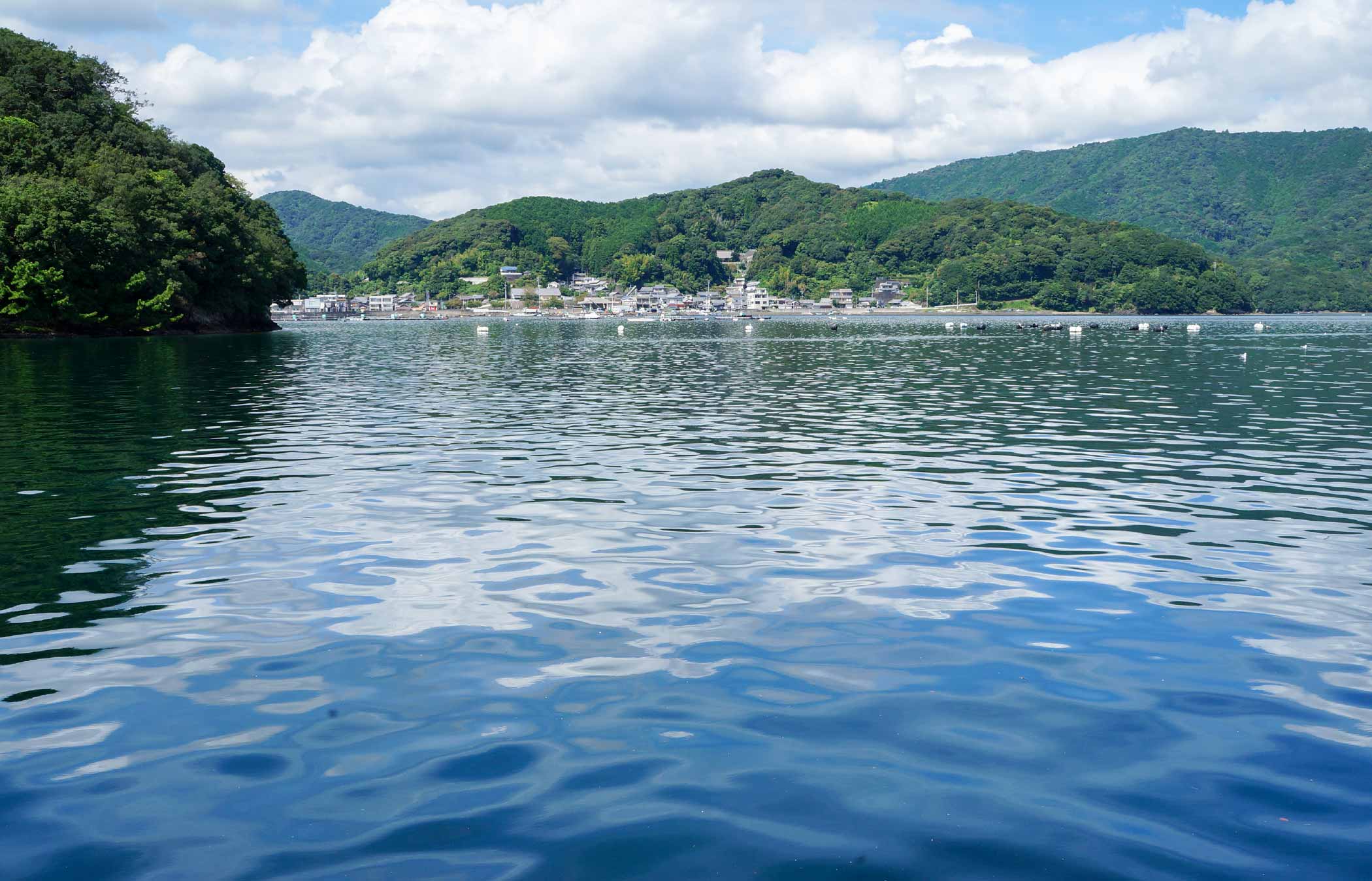 海